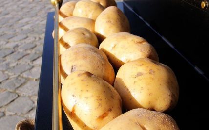 С сегодняшнего дня РФ запретила ввоз украинской картошки
