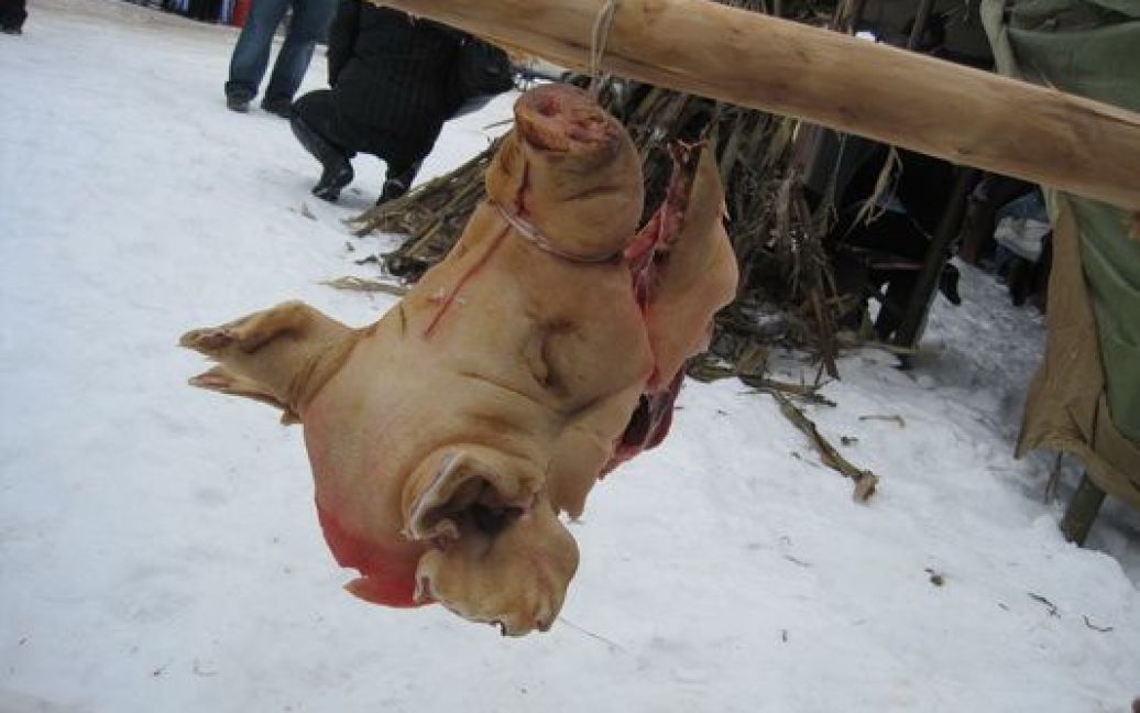 Фестиваль різників свиней на Закарпатті / © zakarpattya.net.ua
