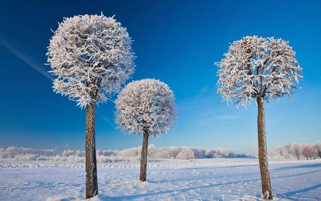 Зима в Литві. Фото Matas Juras / © National Geographic