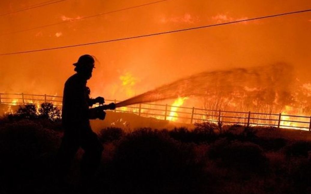 Масштабна пожежа в Неваді / © AFP