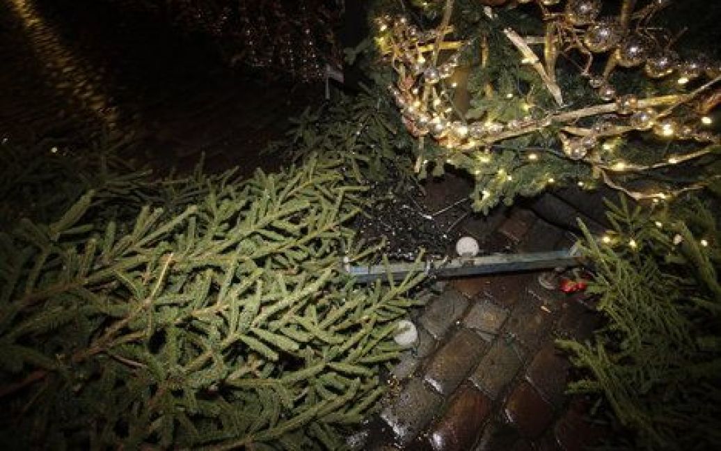Ялинка на Ратушній площі впала вдруге / © DzD.ee