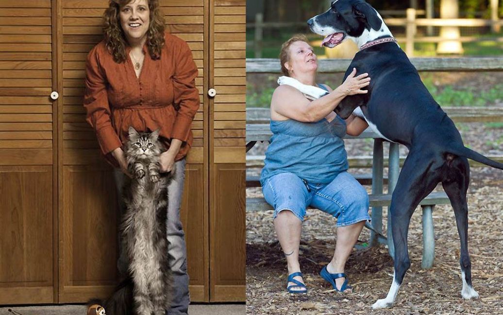 Найдовший кіт &mdash; 5-річний мей-кун Стюї (1,23 м). А найвищим собакою є Нова, велика датська догиня з Іллінойса (89,2 см) / © Guinness World Records