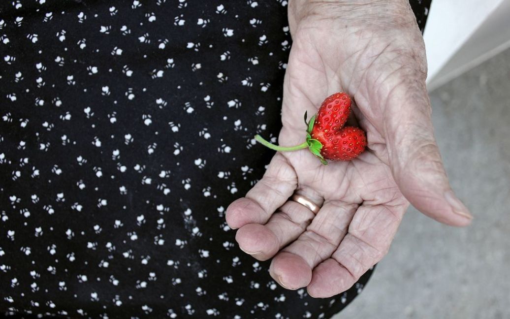 Полуниця у формі серця в руці моєї бабусі. Фото Szabo Eszfer / © National Geographic