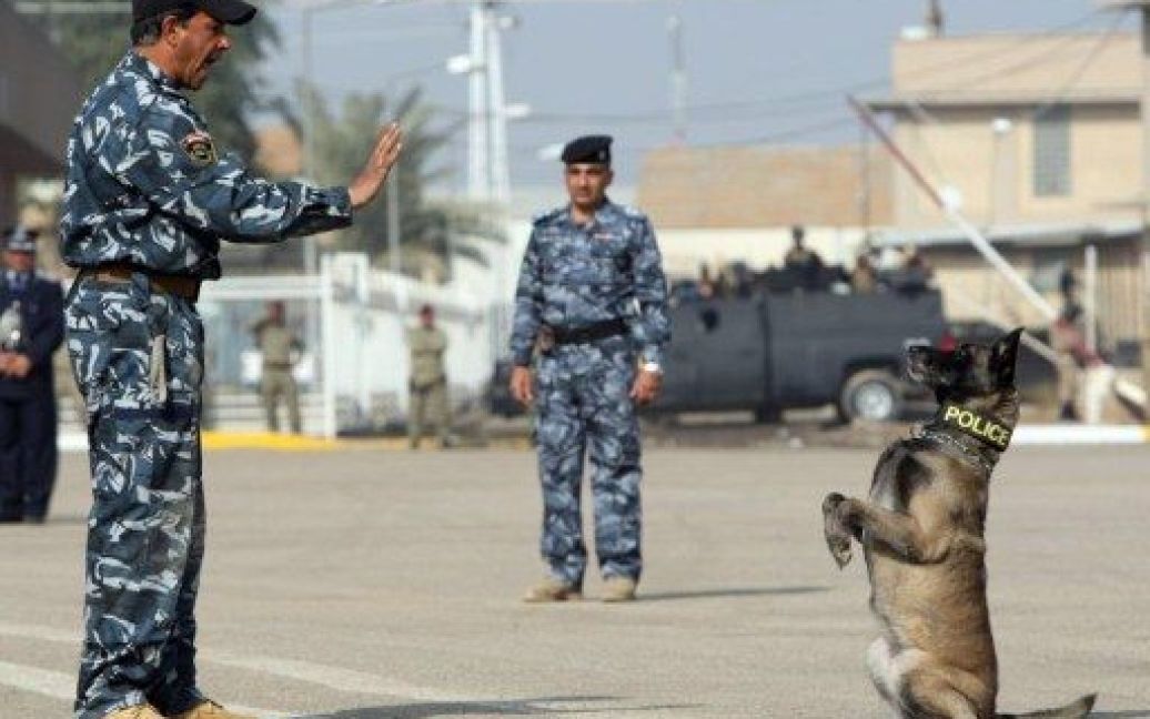 Ірак, Багдад. Офіцер поліції демонструє вміння свого собаки під час параду на честь 90-річчя заснування поліції у Багдаді. / © AFP