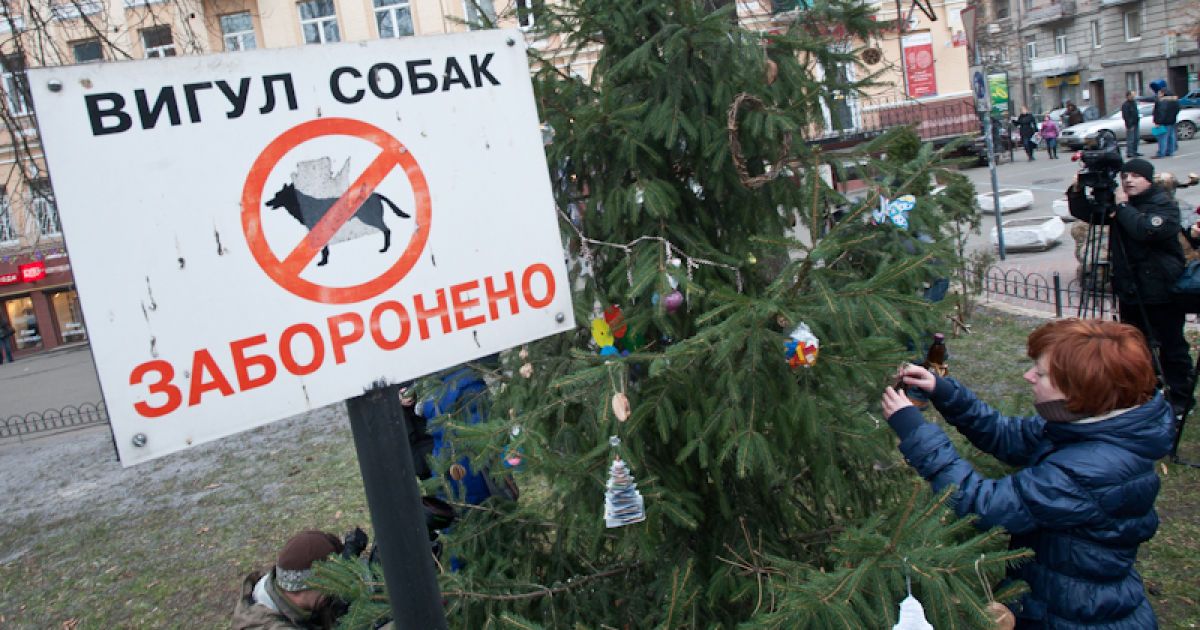 В Києві біля "Золотих воріт" відкрили ресайклінг-ялинку