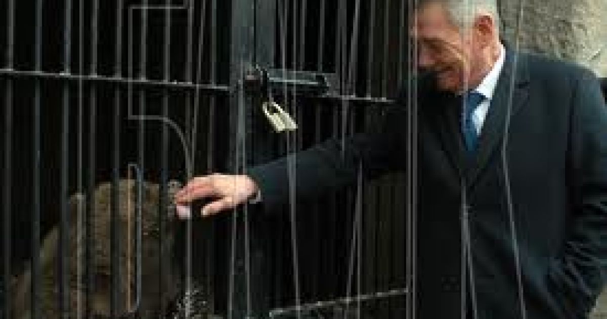 Олександр Омельченко і його ведмежата