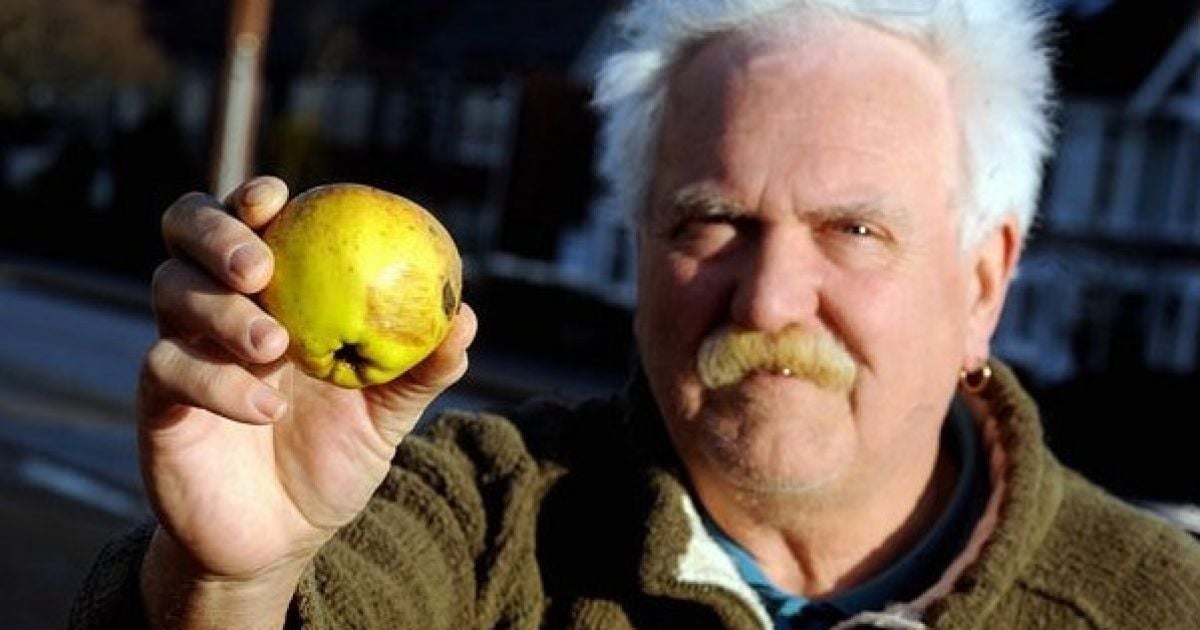 На британців пішов яблуневий дощ