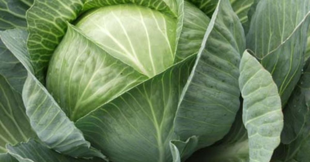 У столичних магазинах закінчуються овочі та фрукти