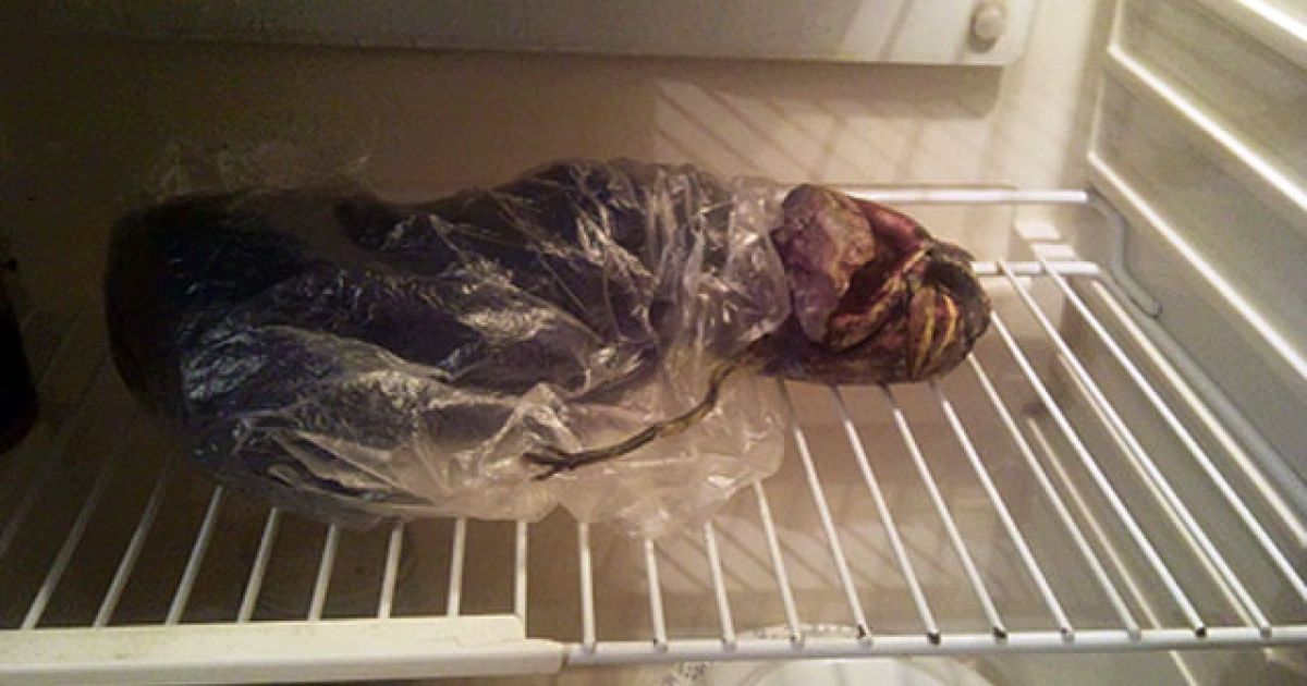 Росіянка 2 роки тримала в морозилці труп прибульця