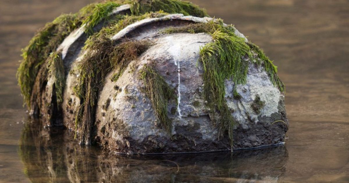 Мешканців євакуюють через потужну бомбу
