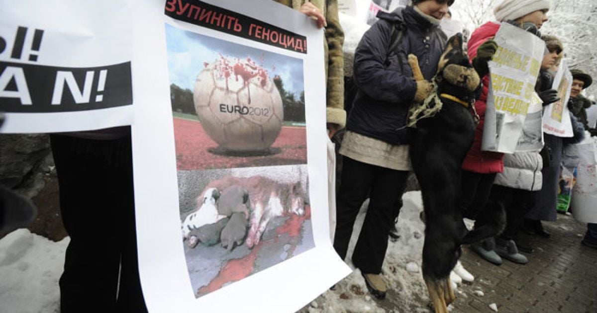 Під будівлею Кабінету міністрів провели акцію на захист безпритульних тварин.
