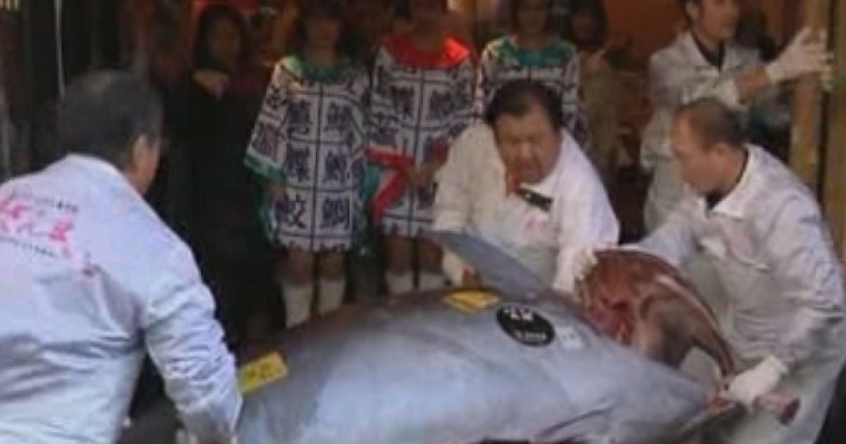 Ціна за один кілограм "рекордсмена" склала 2700 дол