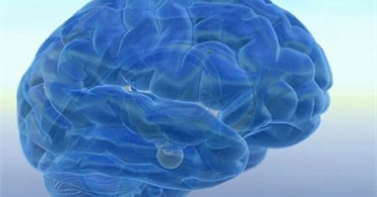 Вченим вперше вдалося виростити гіпофіз. Ілюстрація