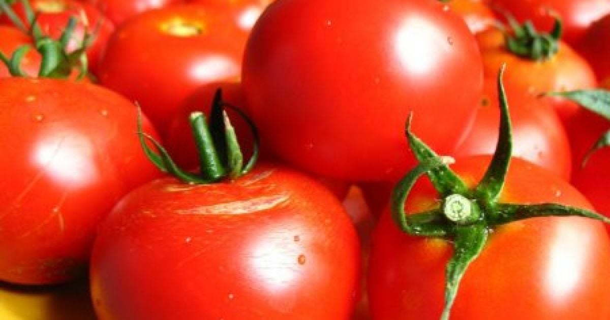 Імпортні овочі коштуватимуть дешевше за українські