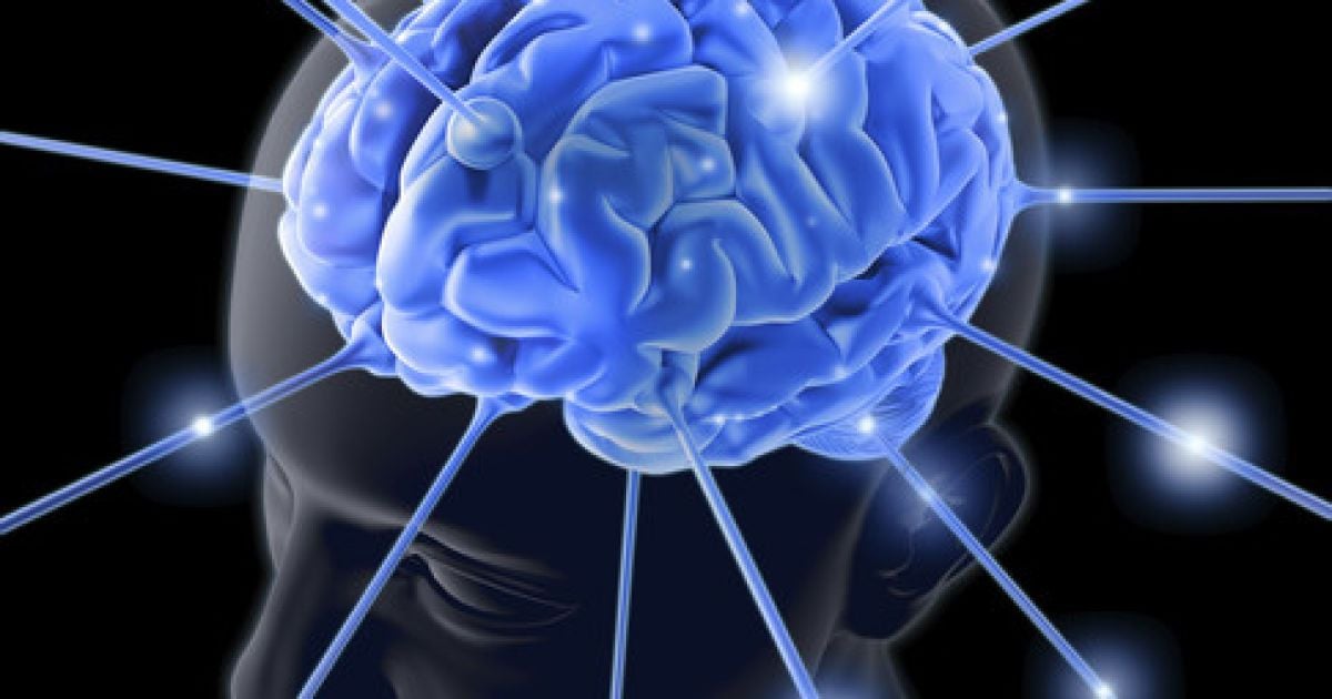 Искуственный мозг не обладает сознанием