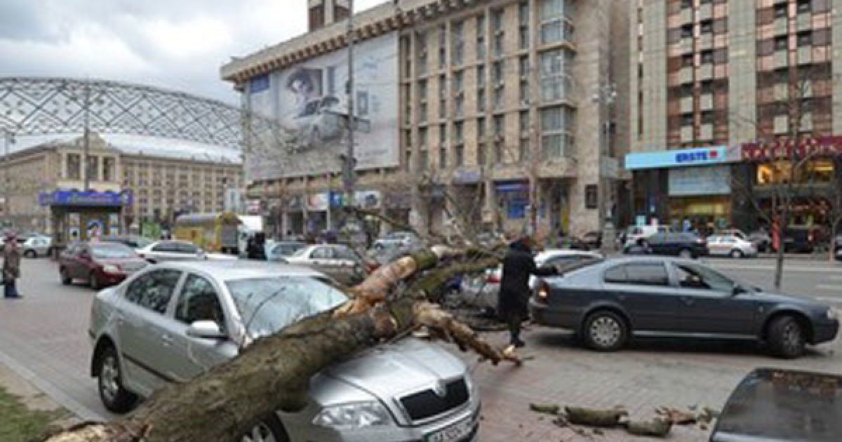 Під час урагану в Києві на Хрещатику автомобілі завалило деревами