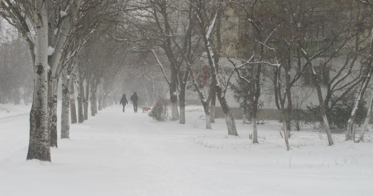 Зима у Феодосії_2 / © kafanews.com