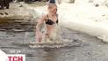 Водохресна купіль приймає моржів