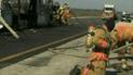 Десять человек погибли в масштабном ДТП во Флориде
