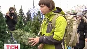 Ведущий программы &quot;Світ навиворіт&quot; Дмитрий Комаров отправился за новогодними приключениями в Африку