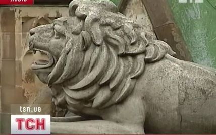 У Львові нарахували рекордну кількість левів - 4,5 тисячі
