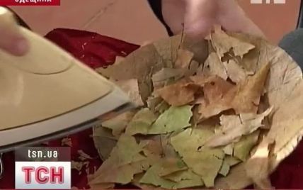 Одеські школярі виготовили екопосуд з опалого листя