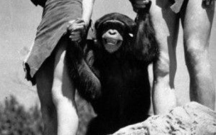 Померла мавпа, яка знялася у фільмі "Тарзан"
