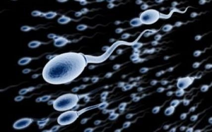 Ученые разработали "спермобота" для борьбы с бесплодием