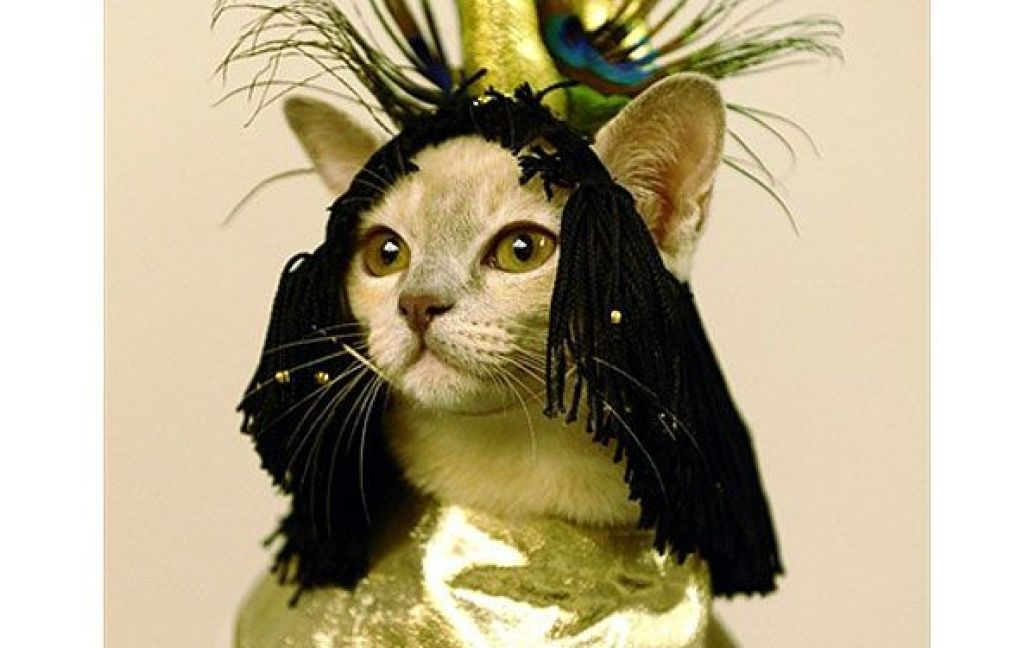 В рамках виставки також провели конкурс на найкращий костюм серед кішок / © AFP