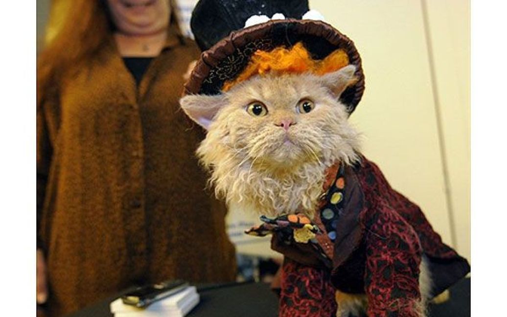 Конкурс на найкращий костюм серед кішок виграв кіт Сальваторе / © AFP