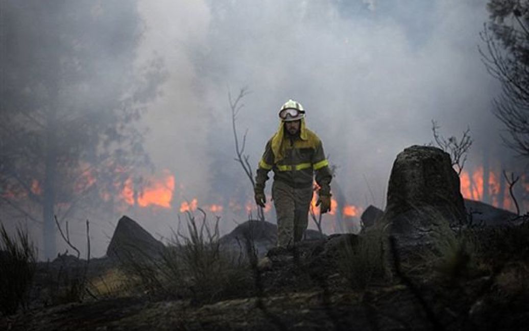 Чоловік йде по згорілому лісу у Масіде. Іспанію накрила хвиля лісових пожеж. / © AFP