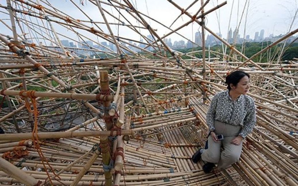 Митці Майк та Дуг Стерни закінчили будівництво бамбукового містечка на даху нью-йоркського музею Metropolitan. Висота бамбукового лабіринту складає 15,5 метрів. Для будівництва містечка брати використали 5 тисяч бамбукових палиць та 80 кілометрів нейлонової мотузки. / © AFP