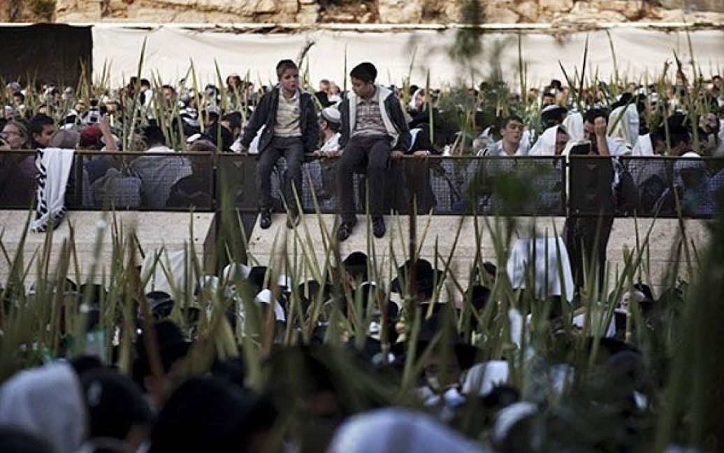 Єрусалим. Тисячі ортодоксальних євреїв тримають пальмові гілки під час ритуалу "Хошана Раба", який проводять в кінці тижневого релігійного свята Суккот. Суккот, або Свято Кущів, відзначають на честь 40 років поневірянь євреїв у пустелі після виходу євреїв з Єгипту. / © AFP