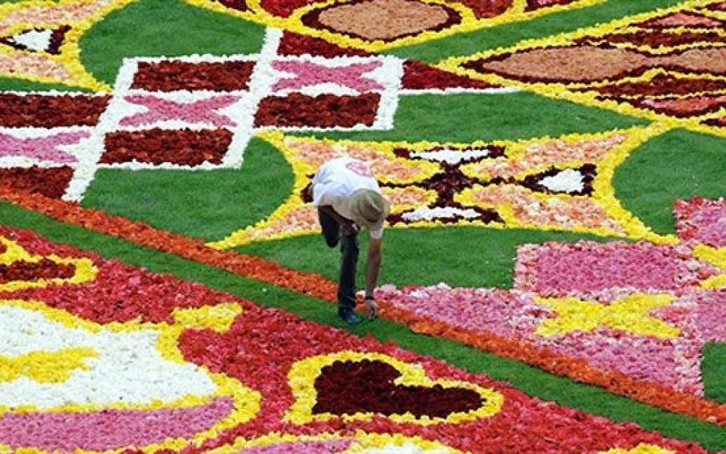 Бельгія, Брюссель. Садівник готує брюссельський квітковий килим на площі Grand Place-Grote Markt у Брюсселі. Килим створено з 700 000 бегоній, а темою малюнку є головування Бельгії у Європейському союзі. / © AFP