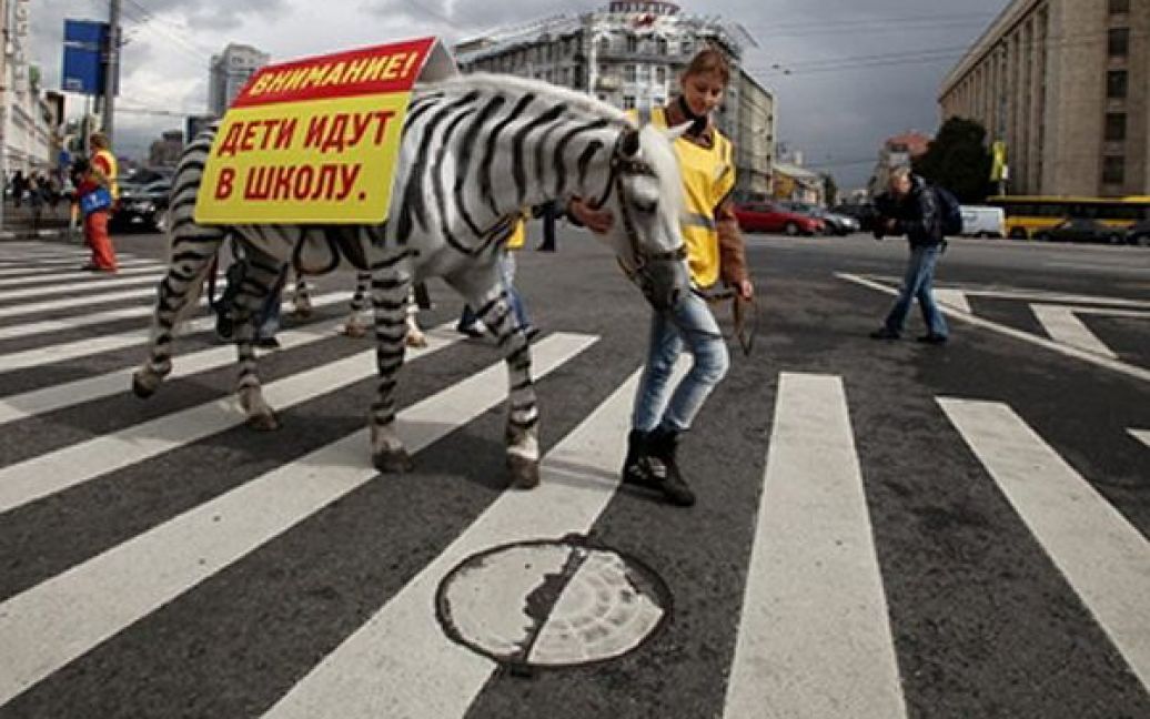 У Москві відбулася акція із підвищення безпеки на пішохідних переходах міста, організована російською ДАІ. / © AFP