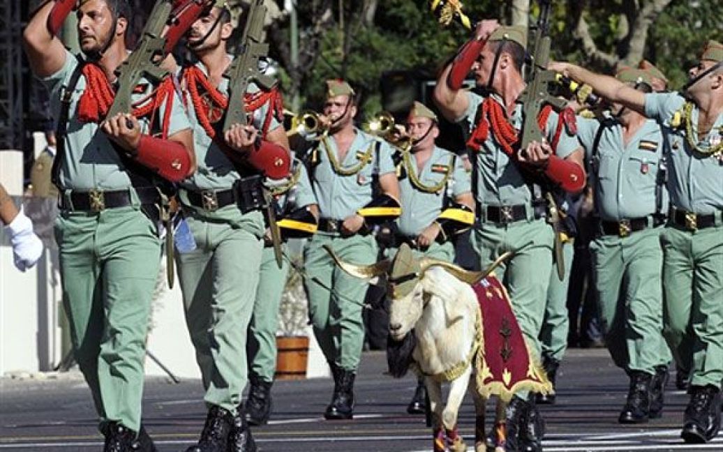 Іспанія, Мадрид. Коза, яка є талісманом іспанського Легіону, разом із солдатами бере участь у параді під час святкування Національного дня Іспанії у Мадриді. / © AFP