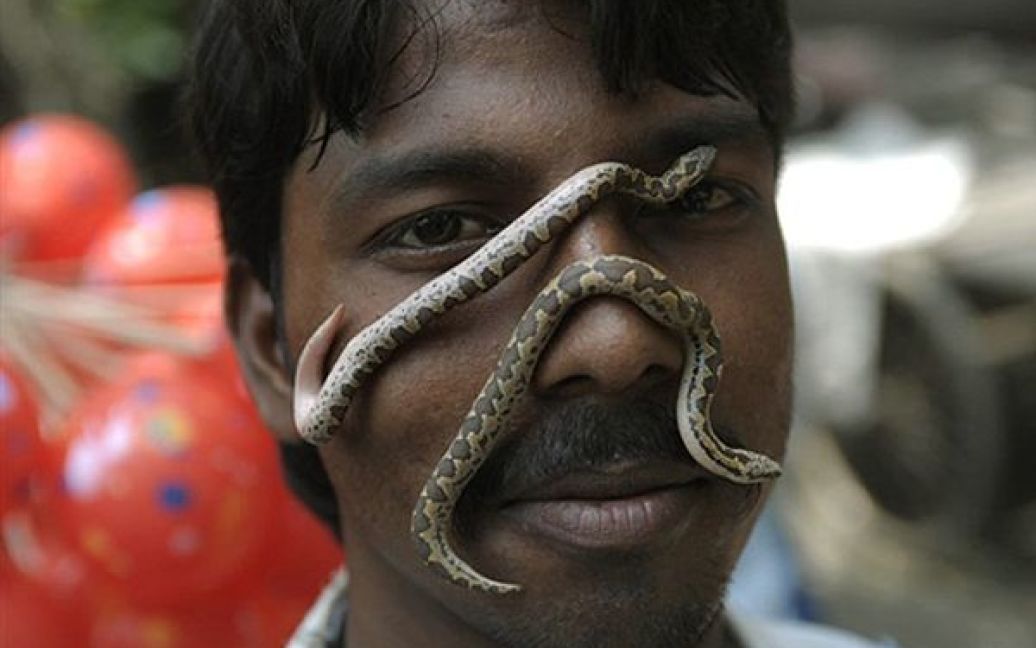 Приборкувач змій позує із своїм товаром на пташиному ринку у передмісті Калькутти. Тисячі приборкувачів змій з&rsquo;їхалися до Калькутта на честь Дня богині Манаши, повелительки змій. / © AFP