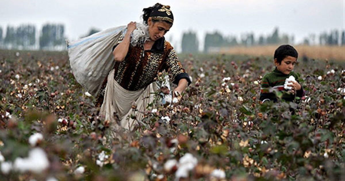 Киргизстан, Араван. Киргизька жінка та її син збирають бавовну у полі поблизу села Араван. В результаті парламентських виборів у Киргизстані, більшість в уряді здобули націоналісти. / © AFP