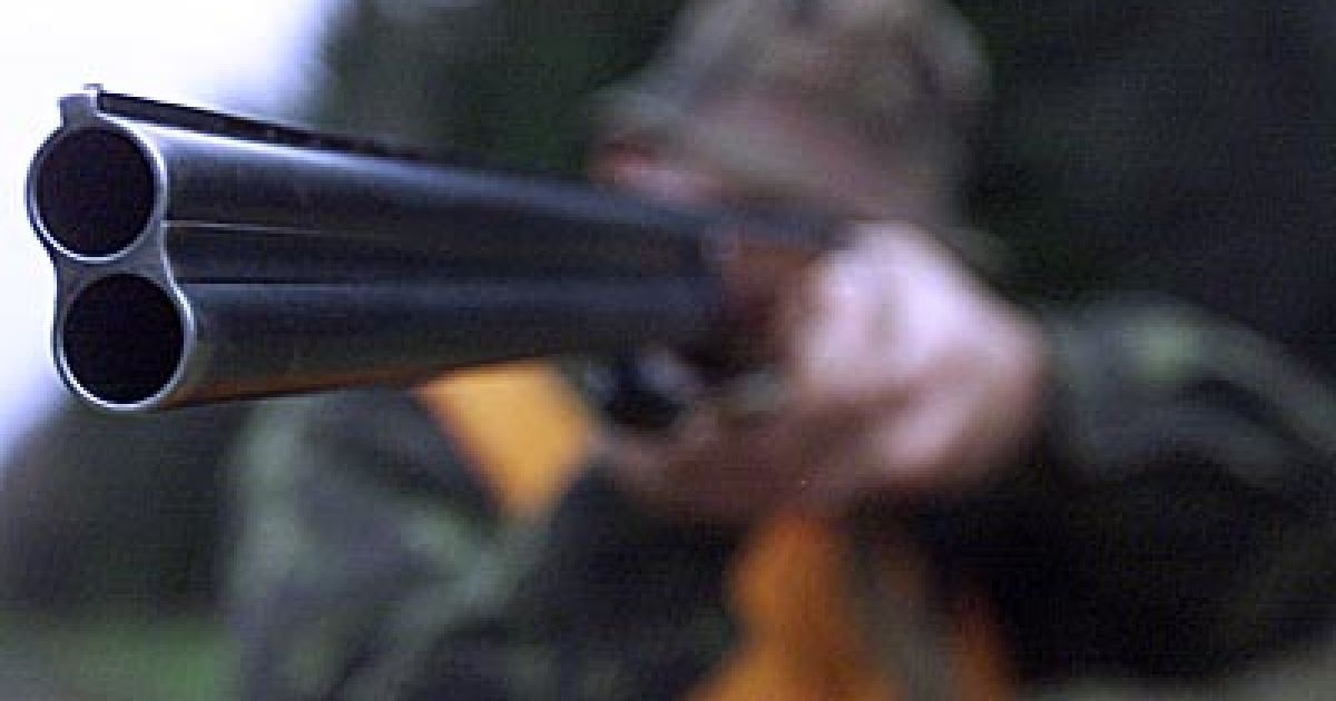 Чиновники и судьи перебили почти 200 зайцев