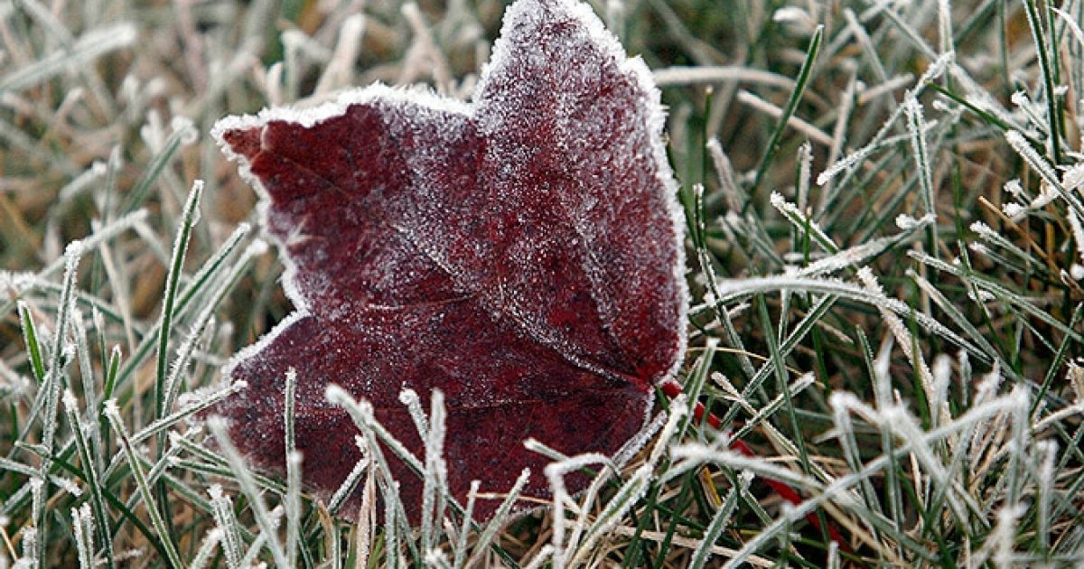в Україні очікуються морози до -7, подекуди мокрий сніг.