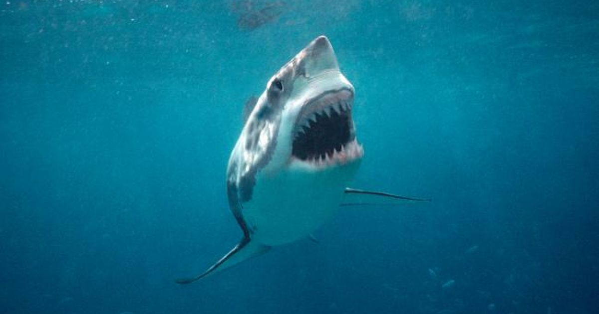 Ілюстрація