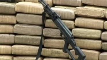 Власти Мексики в ходе спецоперации изъяли 105 тонн марихуани