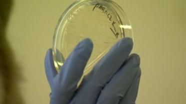 В Британию завезли инфекцию, которая не лечится антибиотиками