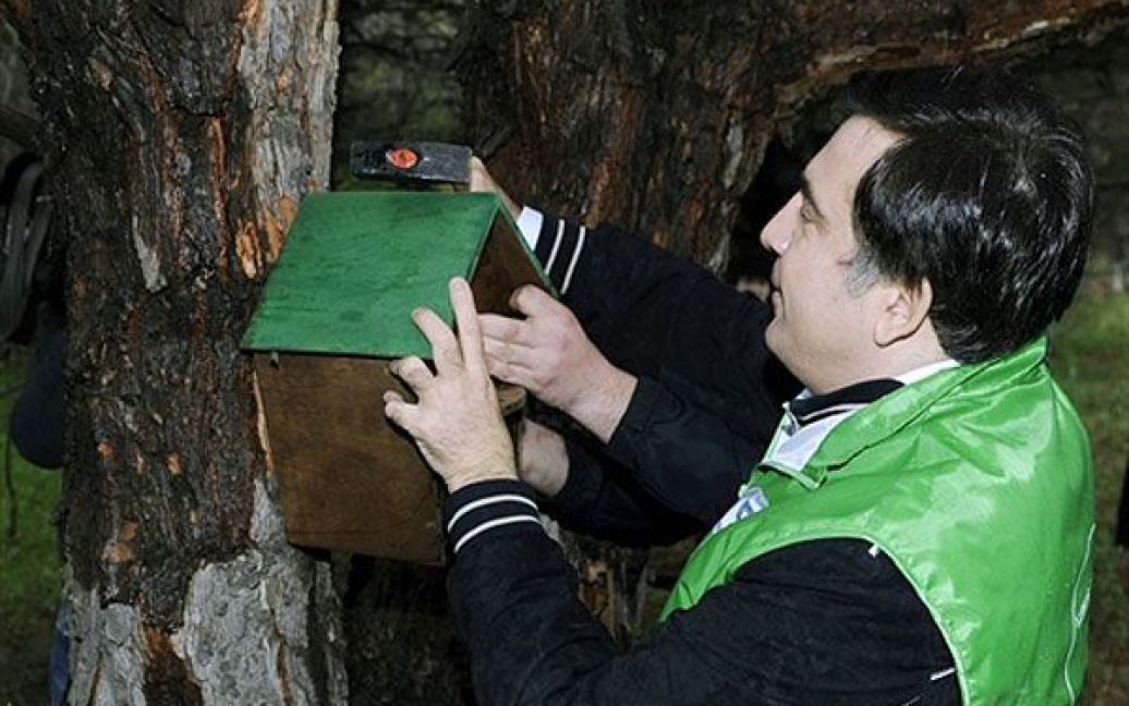 Грузія, Тбілісі. Грузинський президент Михайло Саакашвілі прибиває до дерева шпаківню під час проведення "доби громадських робіт" у місті Мцхета поблизу Тбілісі. / © AFP