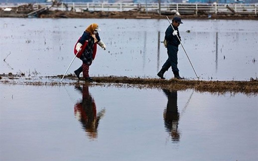 Японія, Хігасімацусіма. 69-річна Качіко Енду шукає свою зниклу безвісті сестру у затоплених рисових полях у районі міста Хігасімацусіма, префектура Міягі. Прем&#039;єр-міністр Японії Наото Кан заявив, що пошкоджену АЕС "Фукусіма-1" необхідно закрити. / © AFP
