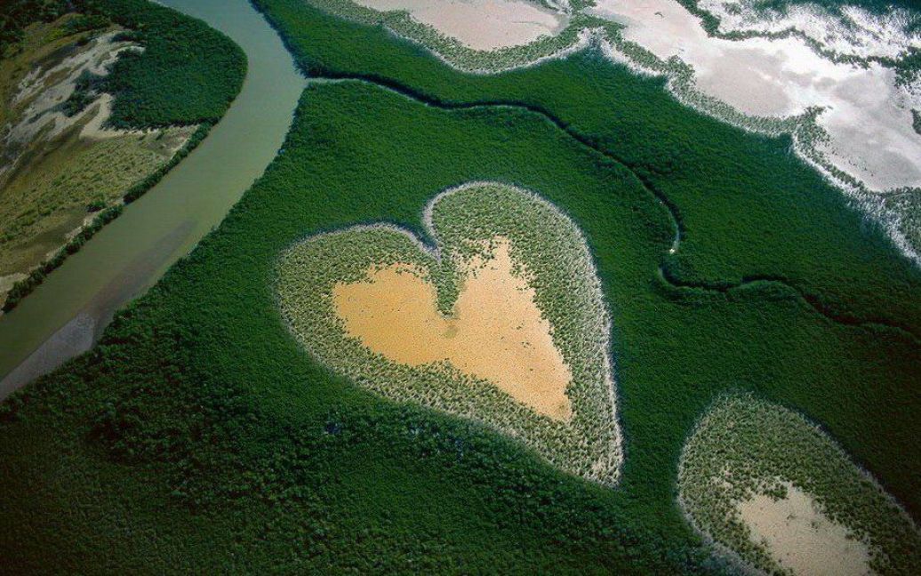 Серце з мангрових дерев у Новій Каледонії / © Yann Arthus-Bertrand
