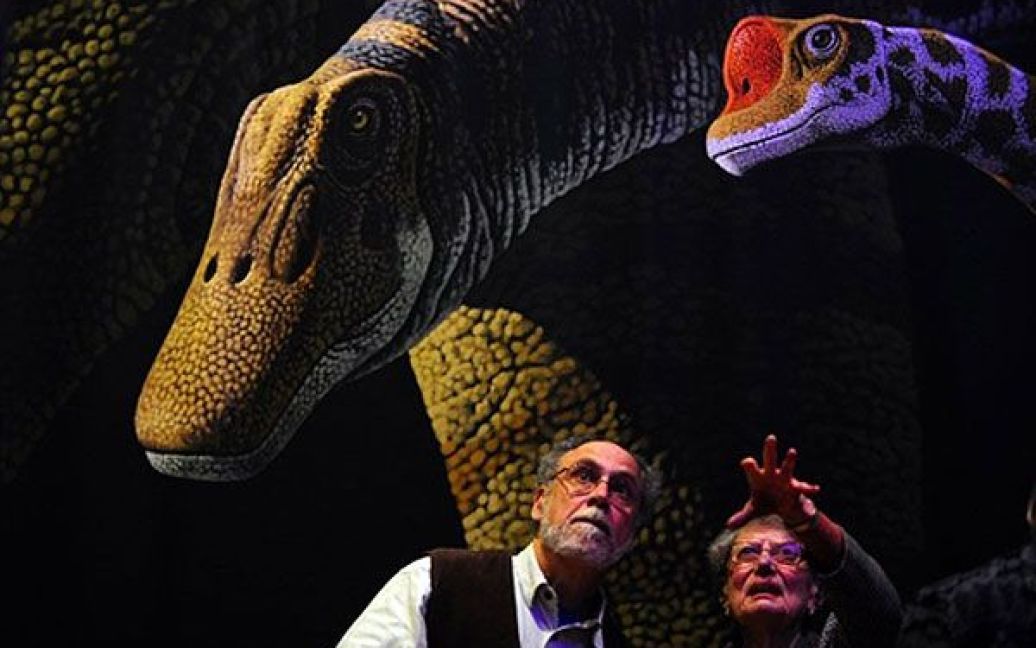 США, Нью-Йорк. Відвідувачі роздивляються експонат виставки "Найбільші у світі динозаври", яка відкрилась у Американському музеї природної історії. Виставку присвячено зауроподам, найбільшим динозаврам, що жили на Землі. Зріст зауроподів досягав 45 метрів, а вага &mdash;90 тонн. / © AFP