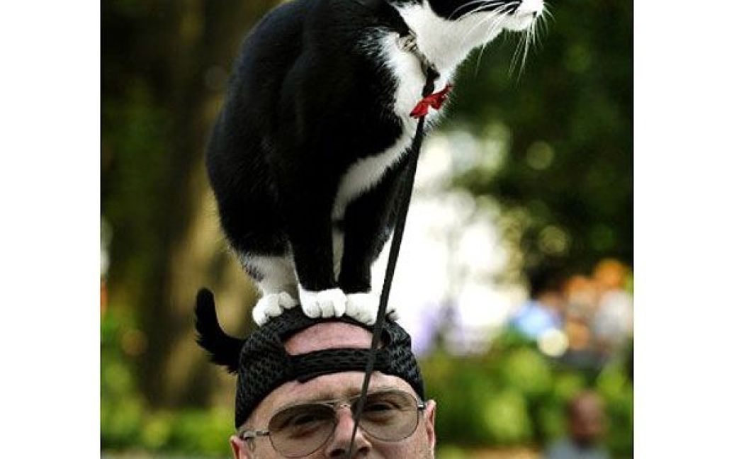 США, Нью-Йорк. Чоловік тримає на голові свою кішку під час прогулянки Юніон Сквер Парком в Нью-Йорку. / © AFP