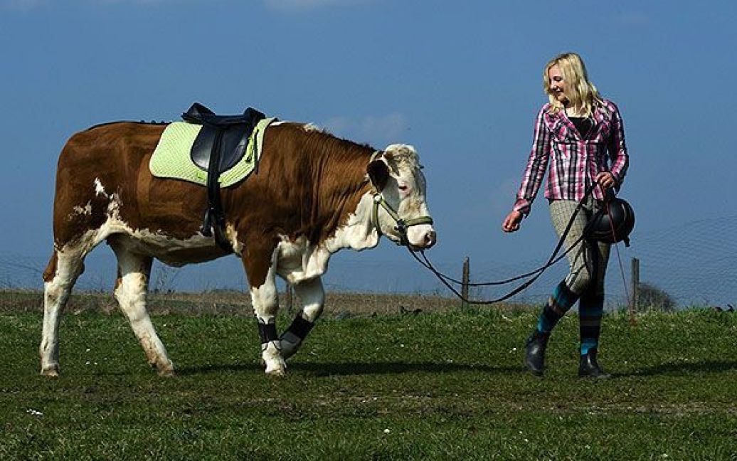 Результати роботи дівчини вразили батьків. Тепер вони планують придбати для дочки справжнього коня. / © bigpicture.ru