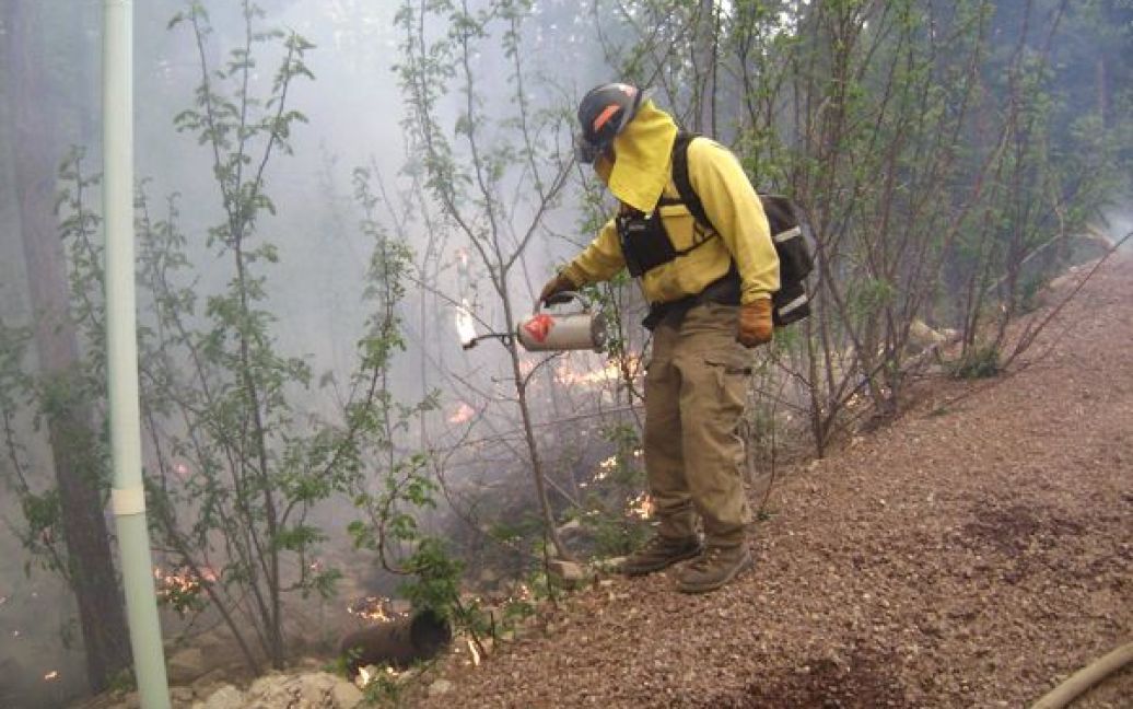 У США в штаті Арізона близько шести тисяч людей довелось евакуювати через найбільшу в історії Арізони лісову пожежу / © ctv.ca